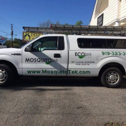 Cost-effective options rather than a full vehicle wrap.